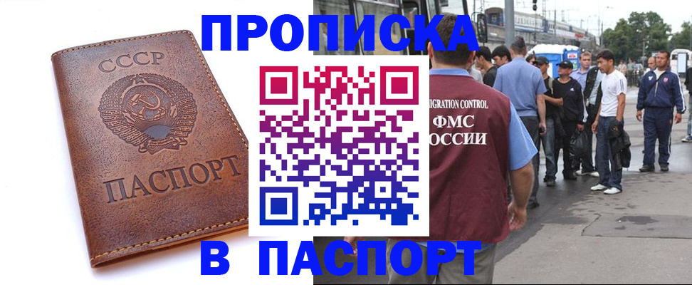 временная регистрация поиск в Курчалом