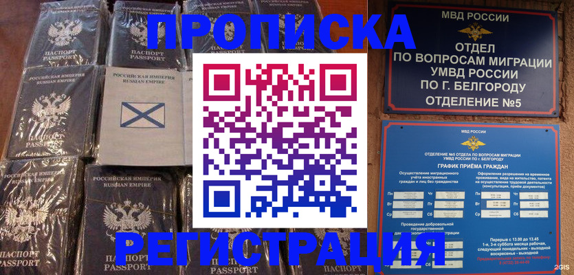 прописка гарантия в Курчалом