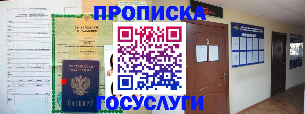 прописка законно в Курчалом